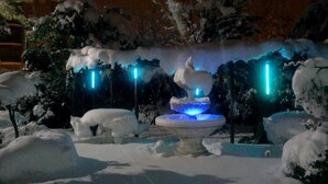 Un jardí cobert de neu amb una font central i llums blaves il·luminades.