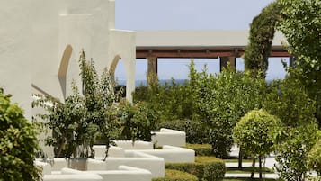 Een aangelegde tuin met witte plantenbakken, een heldere lucht en een gebouw met bogen op de achtergrond.