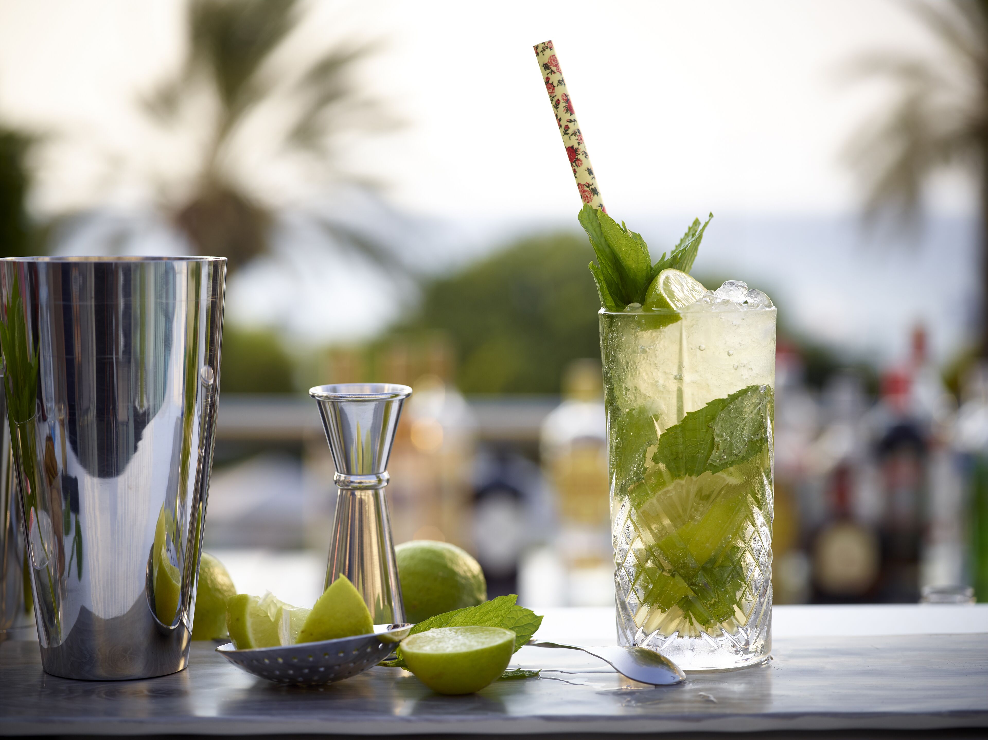 A cocktail glass with lime and mint, a metal shaker, and a citrus squeezer on a table with a blurred outdoor background.