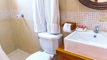 A bathroom with a toilet, sink, and shower area.