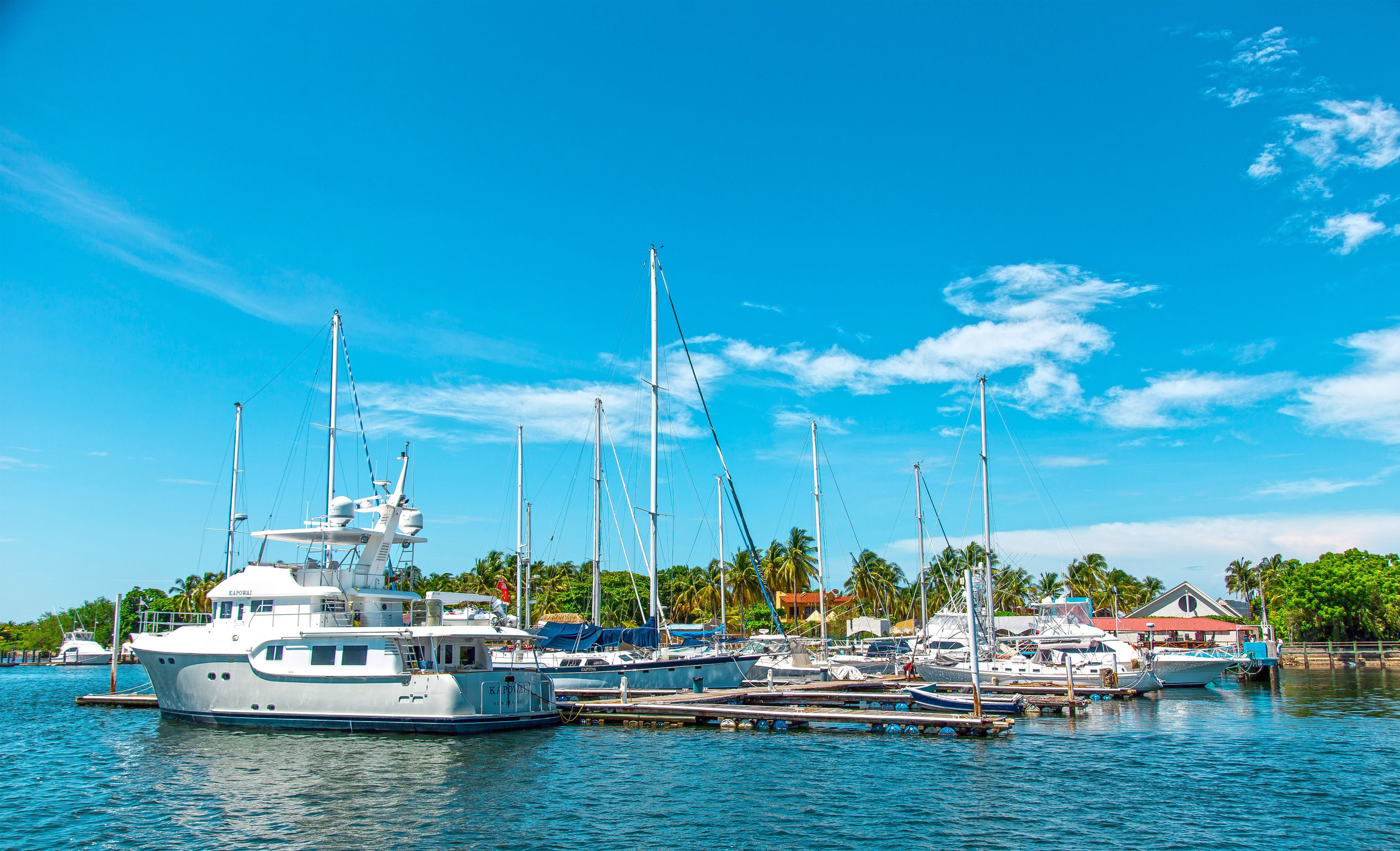 A marina with multiple yachts docked, surrounded by palm trees and a clear blue sky.