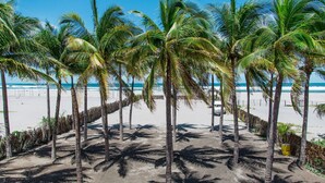 Una playa con palmeras y una vista despejada del océano.