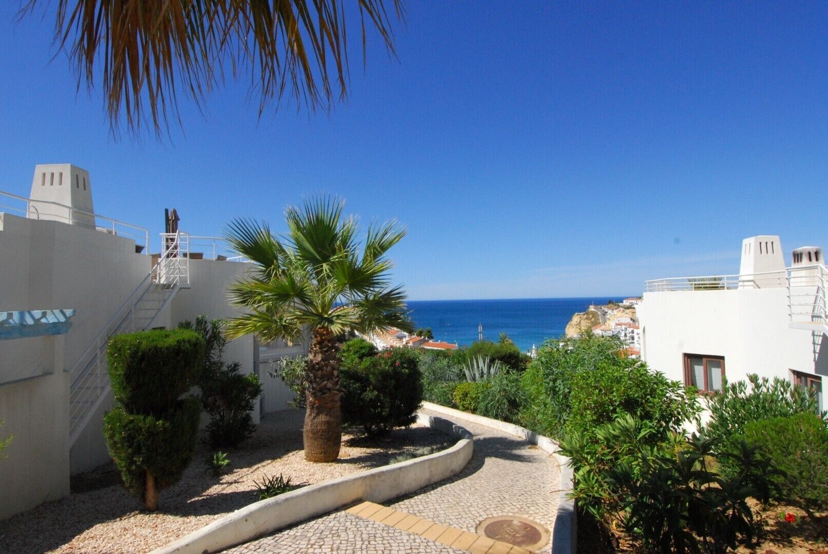 Superior Apartment | View from room