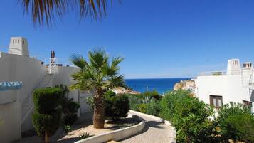 Superior Apartment | View from room