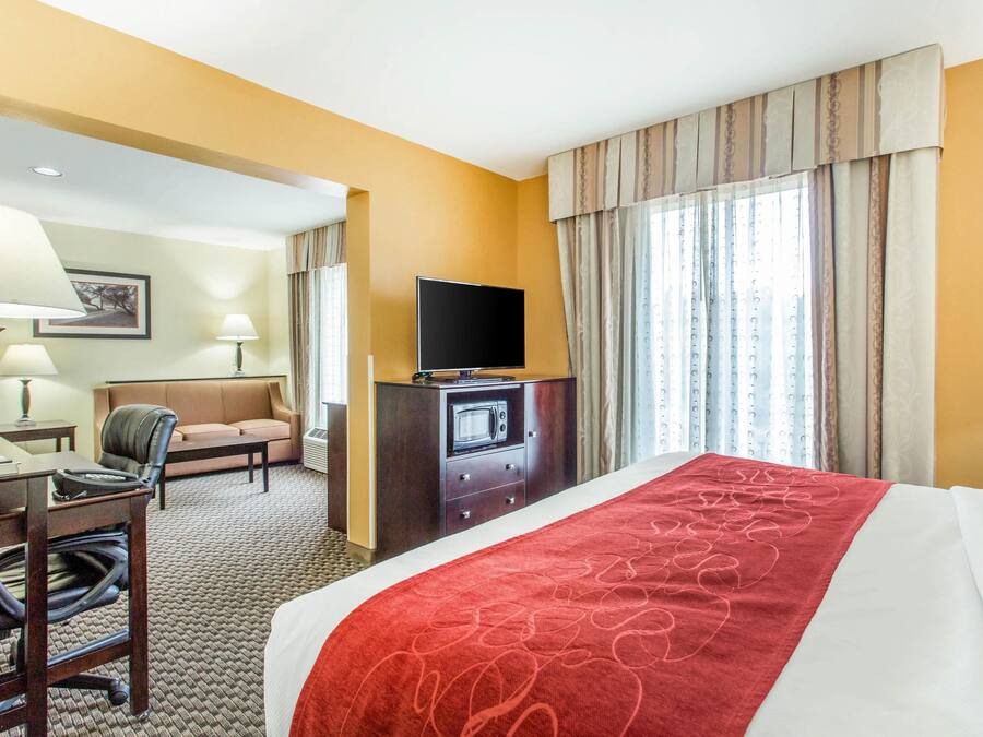 A hotel room with a bed, a desk with a lamp, a television, a sofa, and a microwave.