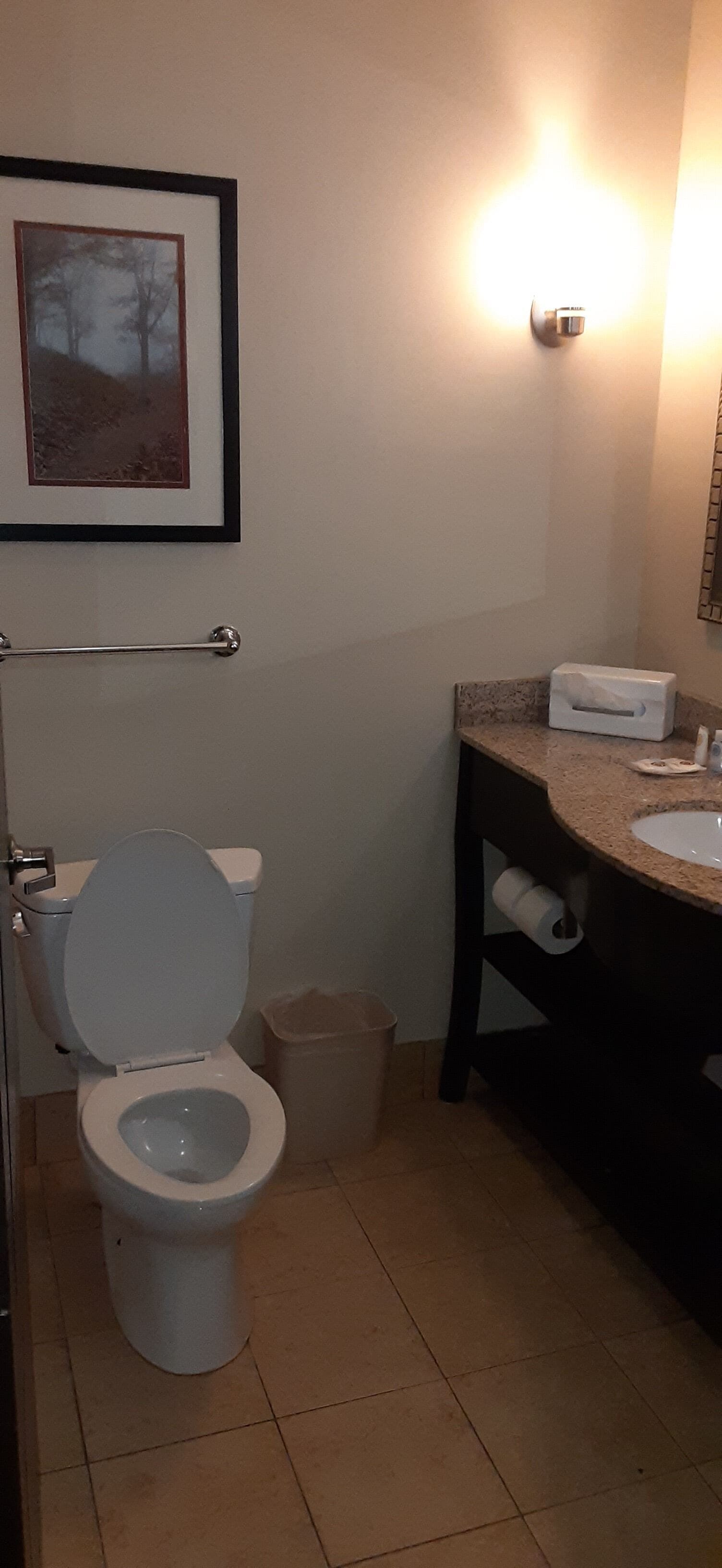 combined shower/bathtub, rainfall showerhead, free toiletries