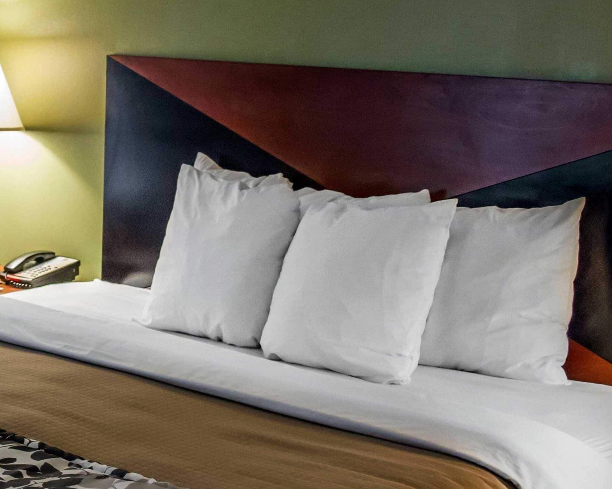 ห้องสแตนดาร์ด, เตียงคิงไซส์ 1 เตียง | เตียงพร้อมฟูกเสริมที่นอน, โต๊ะทำงาน, เตารีด/โต๊ะรีดผ้า