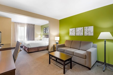 Standard Room, 1 King Bed | Pillowtop beds, desk, iron/ironing board, free cribs/infant beds