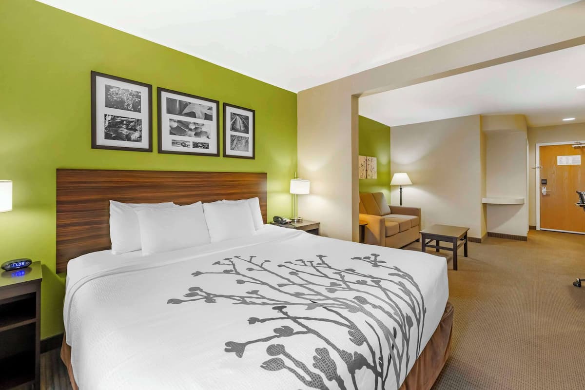 Standard Room, 1 King Bed