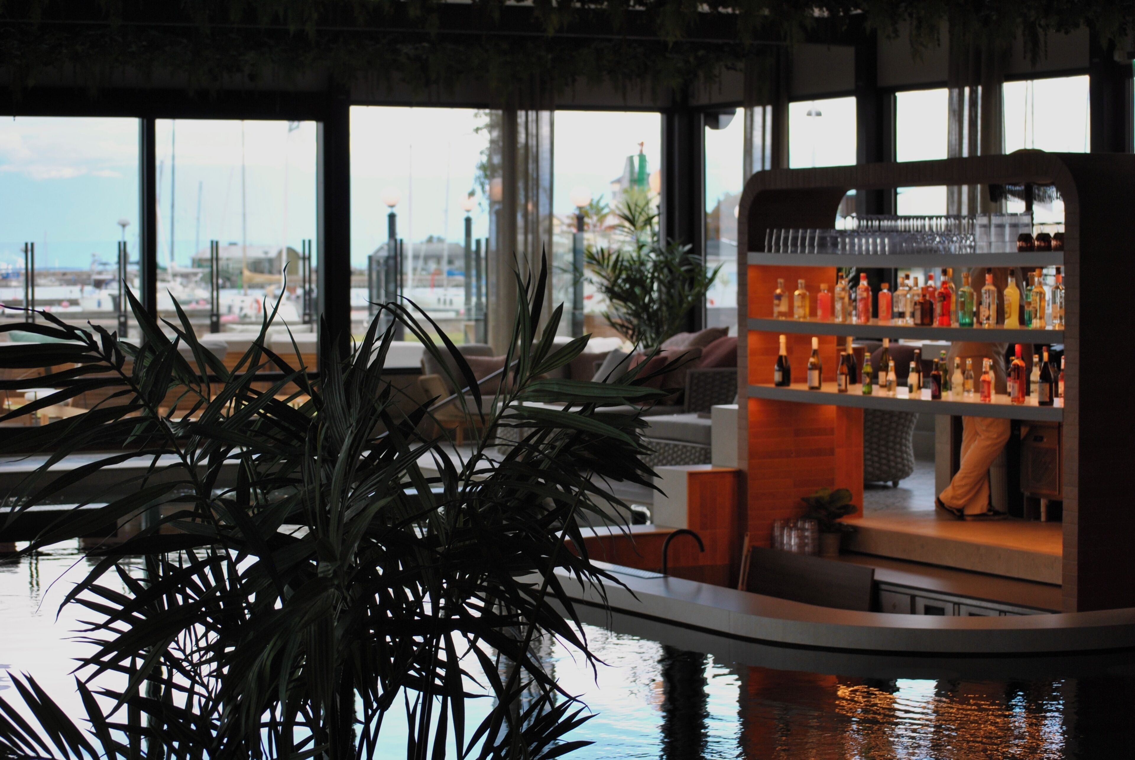 Zona de bar con una planta grande en primer plano, una barra con diferentes botellas y vistas al puerto deportivo a través de amplios ventanales.