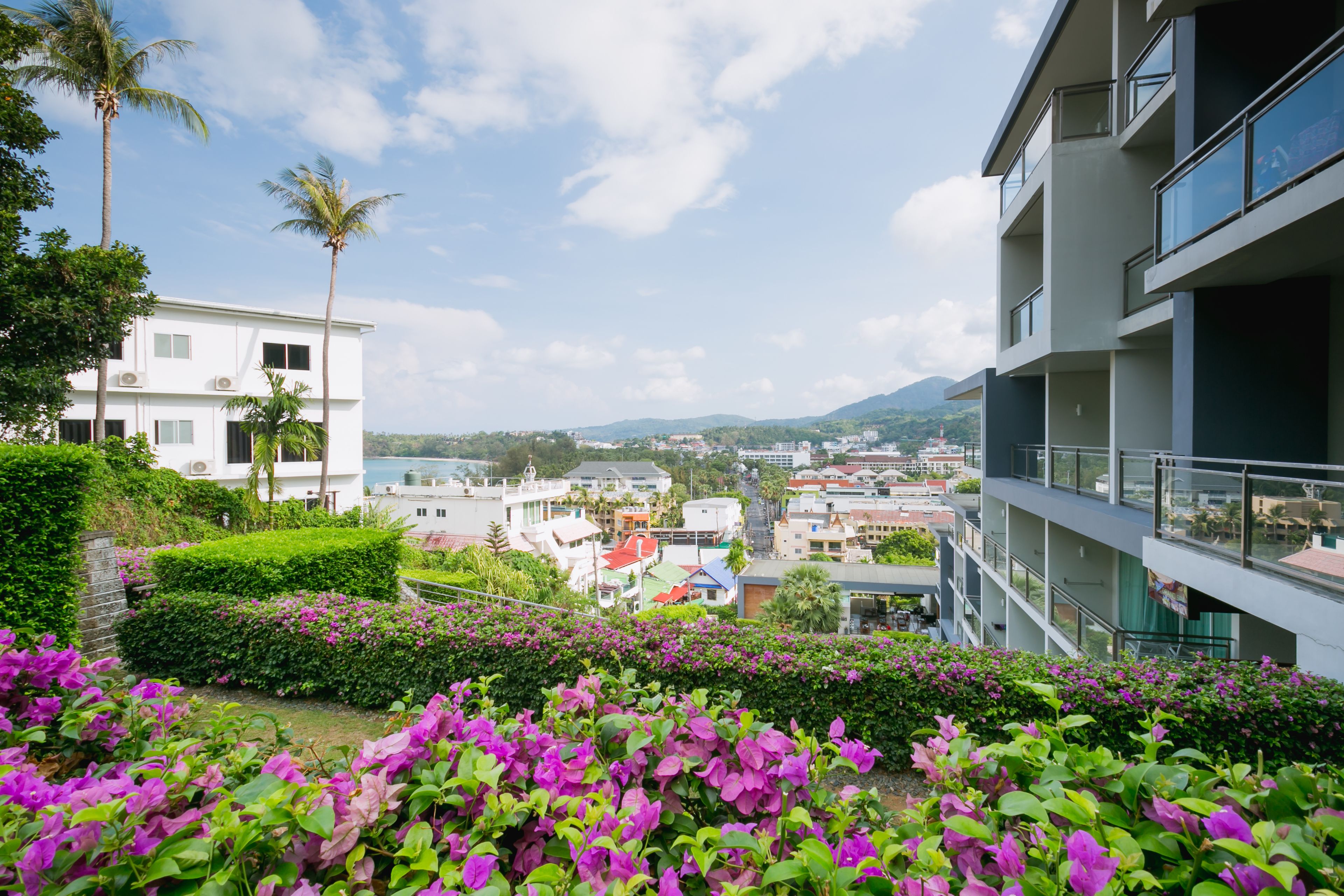 Vistas desde el alojamiento