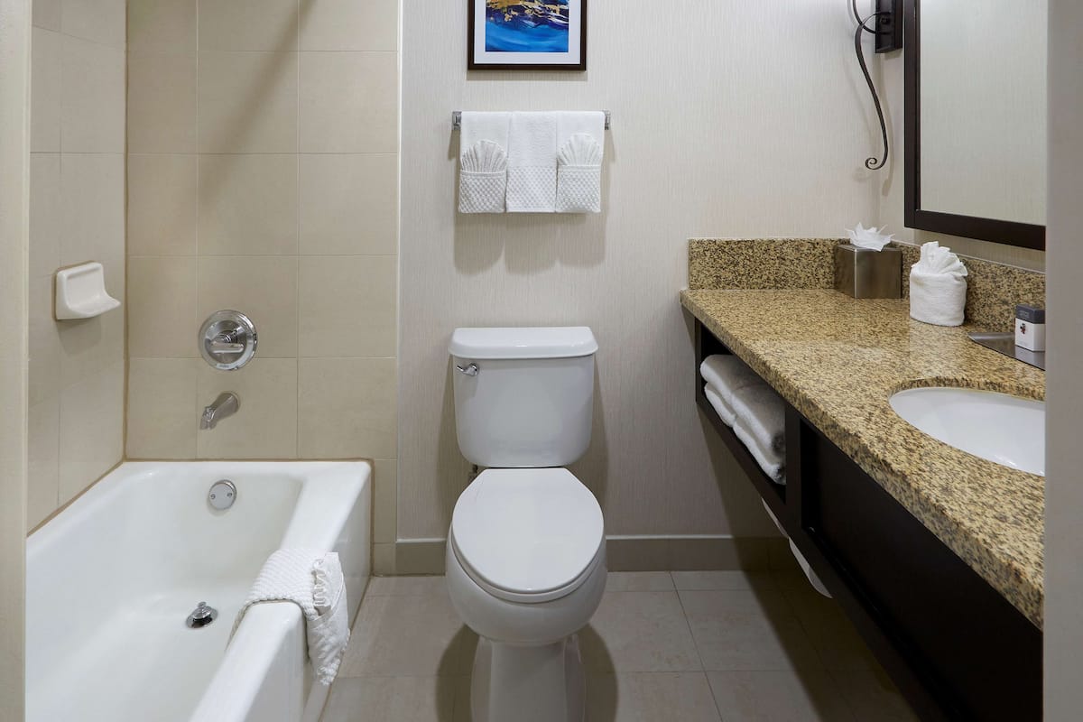 combined shower/bathtub, free toiletries, hair dryer, towels