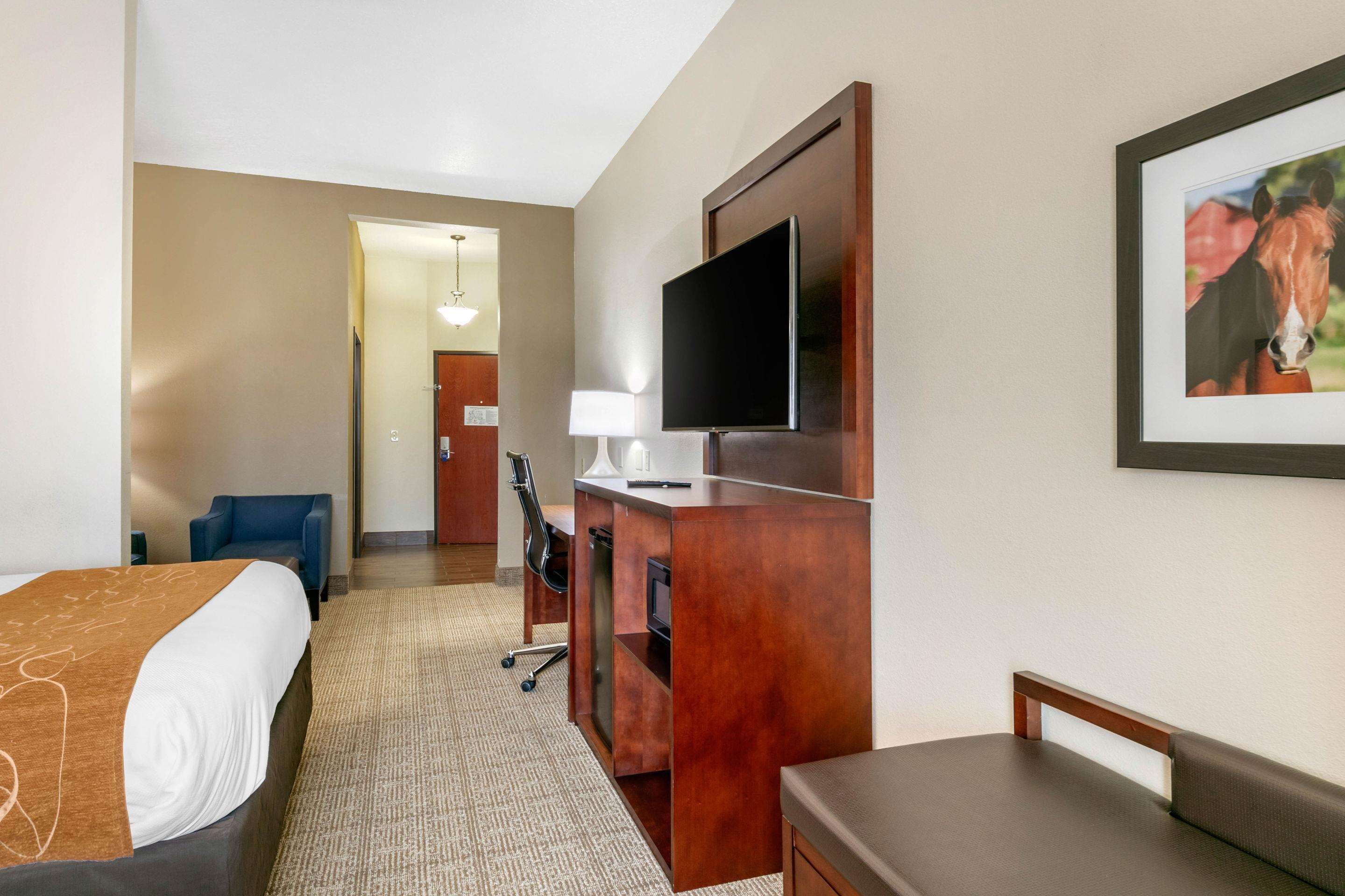 A hotel room with a bed, a desk with a computer, a TV, a chair, and a framed picture on the wall.