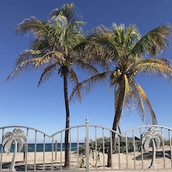 Standard Studio, Ocean View, Oceanfront | 1 bedroom, iron/ironing board, free WiFi, wheelchair access