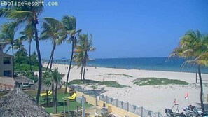 A beach with palm trees, a sandy shore, and a clear blue sky. - Ebb Tide Resort Oceanfront (Pompano Beach)