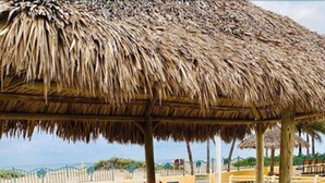 A beachside pavilion with a thatched roof, stone benches, and a paved walkway.