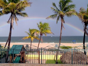 A beach with palm trees and a rainbow. - Ebb Tide Resort Oceanfront (Pompano Beach)