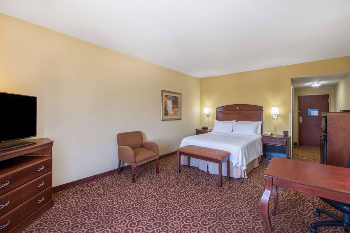 A hotel room with a bed, a chair, a desk, a television, and a patterned carpet.