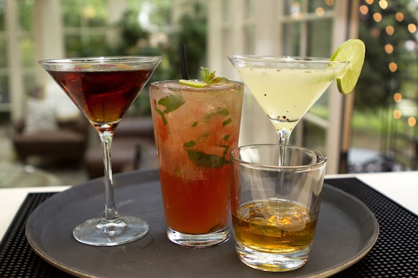Cocktail bar, garden views, open daily