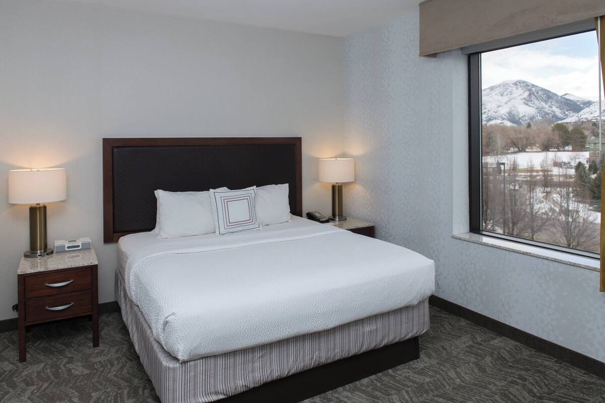 A hotel room with a large bed, two bedside tables, a window with a mountain view, and a carpeted floor.