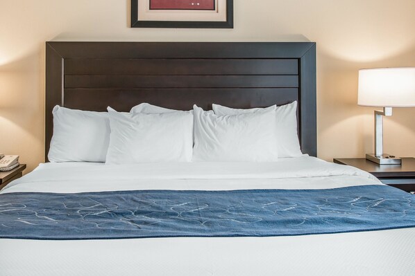 A neatly made bed with white linens and a blue blanket, a dark wooden headboard, a bedside lamp, and a framed picture on the wall.