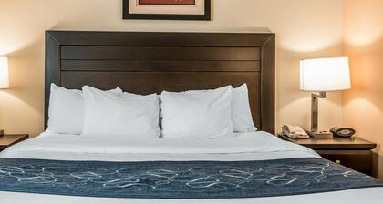 Comfort Suites South Bend near Casino