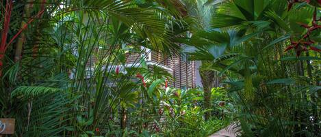 Un sentier en bois, bordé d’une végétation tropicale luxuriante, mène à un bâtiment de style architectural traditionnel.