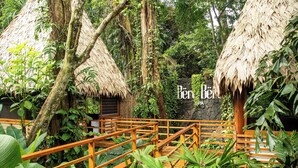 A wooden bridge leading to a thatched-roof structure surrounded by lush greenery. - Le Cameleon Puerto Viejo (Cahuita)