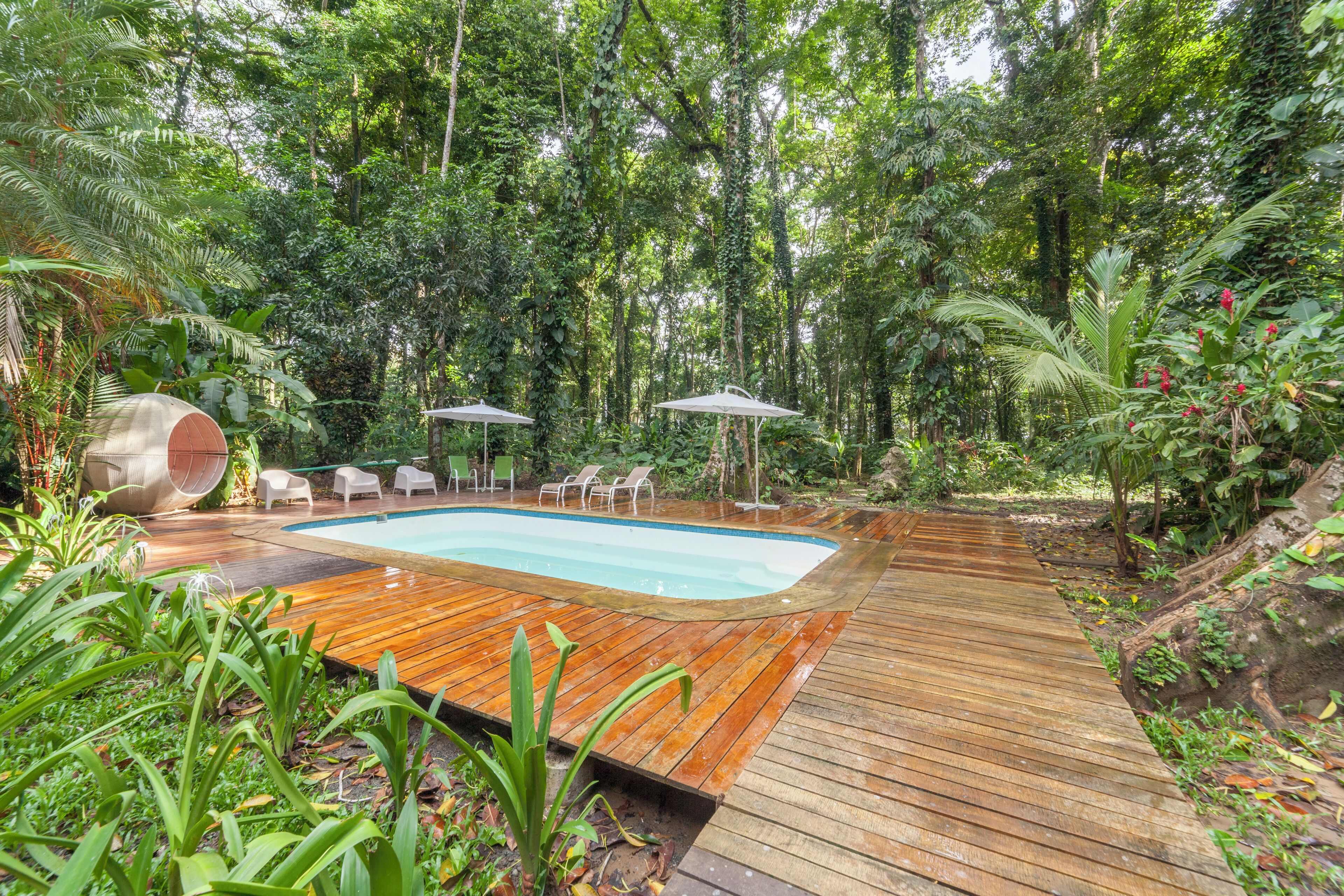 A wooden deck with a pool, surrounded by lush greenery and trees.