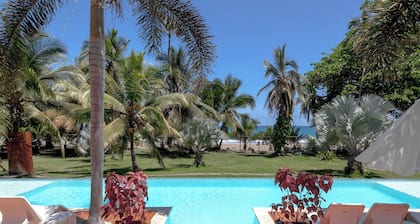 Le Cameleon Puerto Viejo