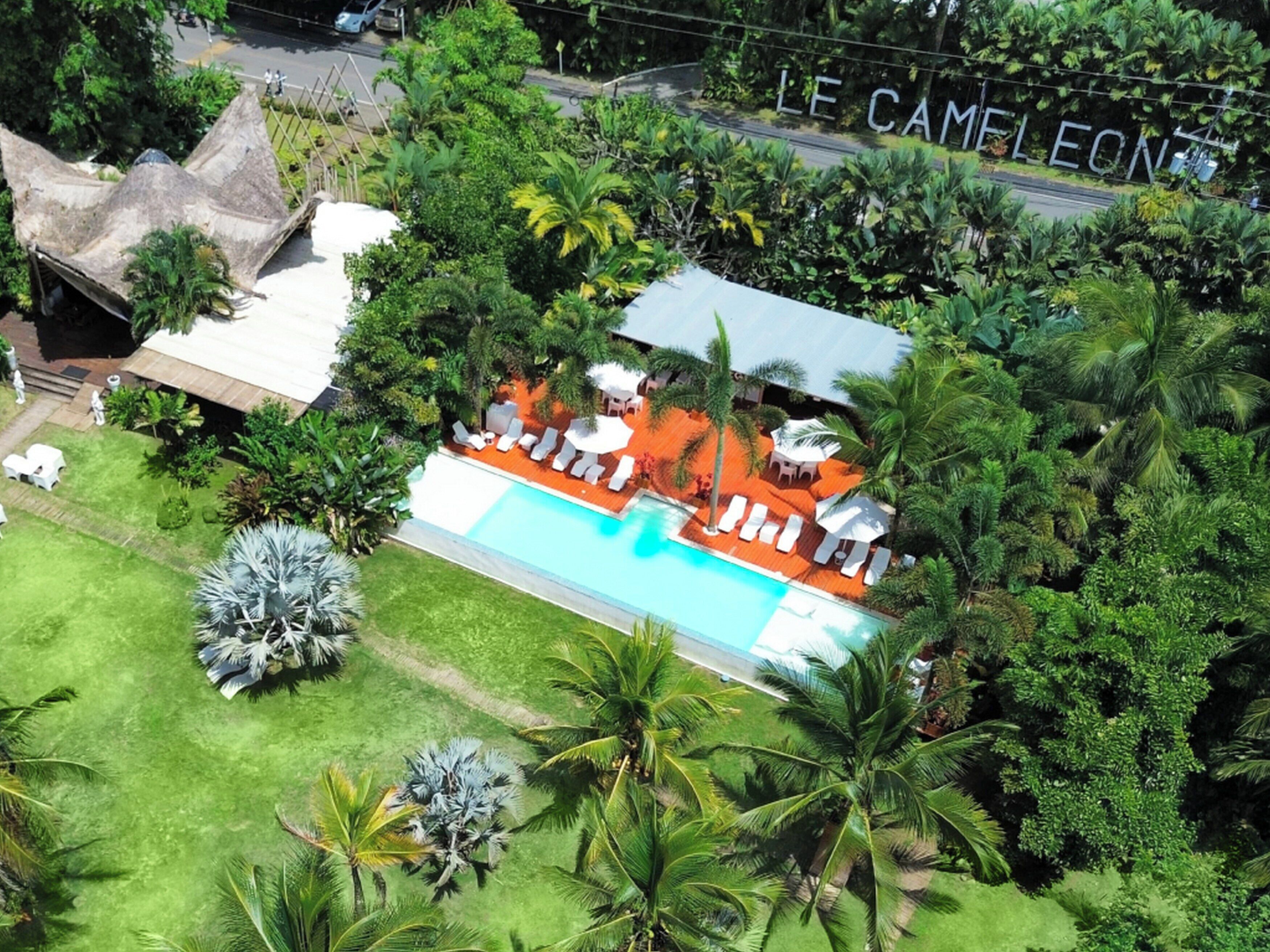 An aerial view of a resort with a swimming pool surrounded by palm trees and lounge chairs.