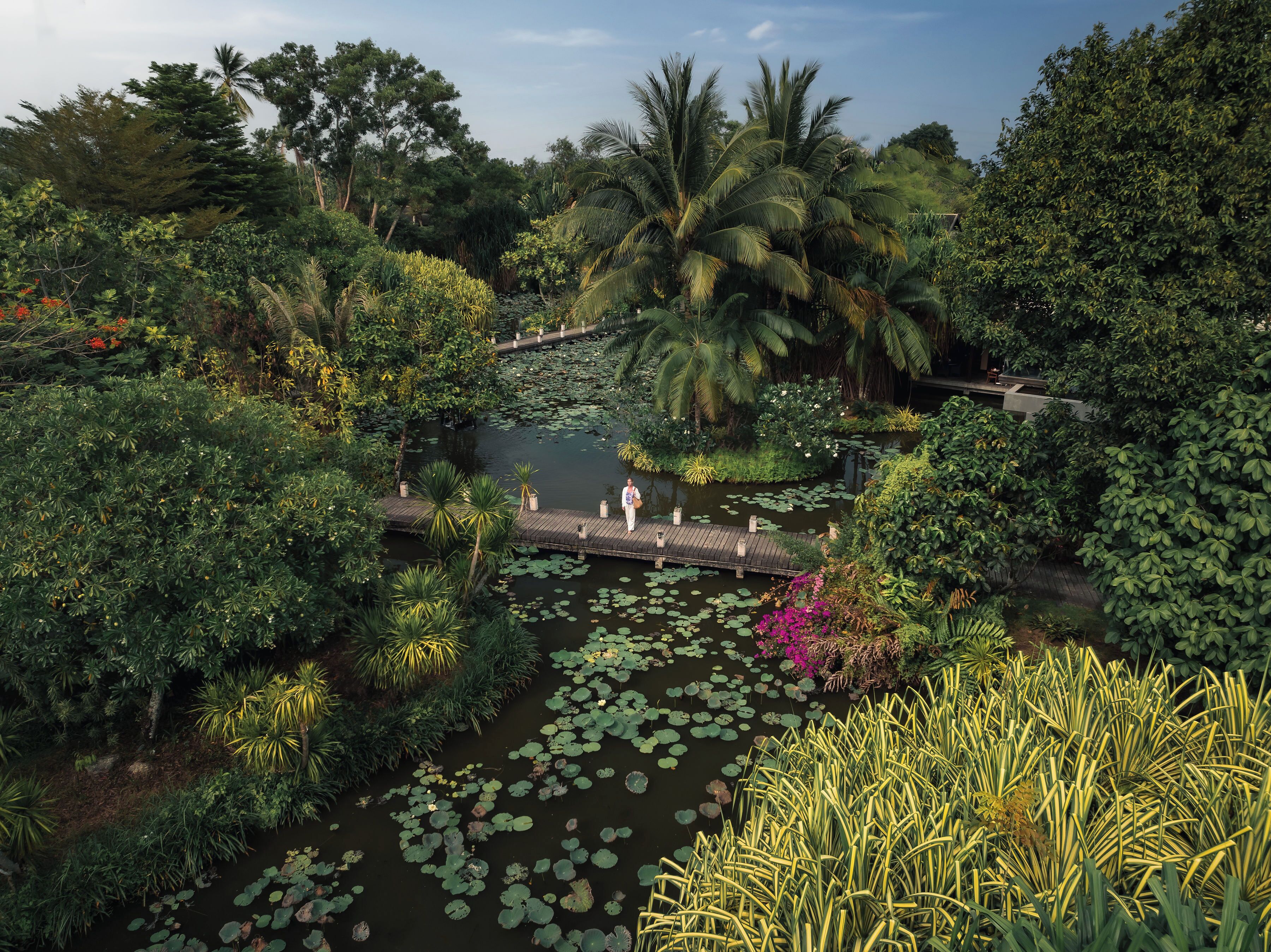 A lush garden with a pond, palm trees, and a wooden bridge.