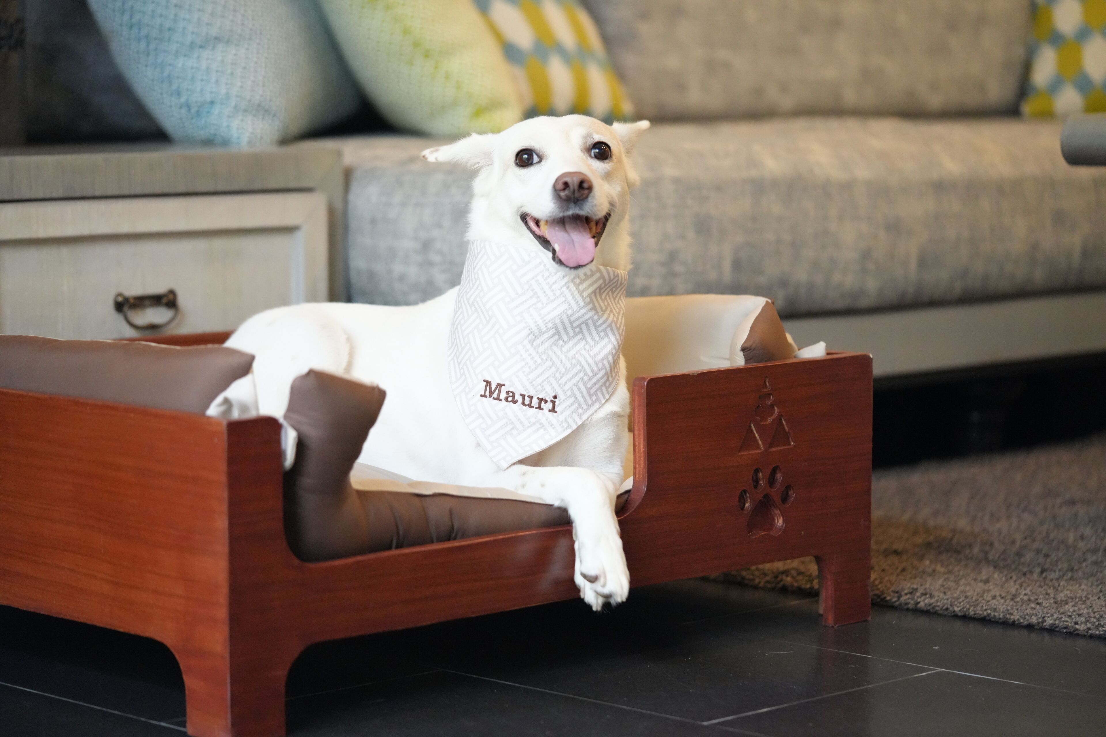 Un perro blanco recostado sobre una cama de madera con una manta que dice “Mauri”.