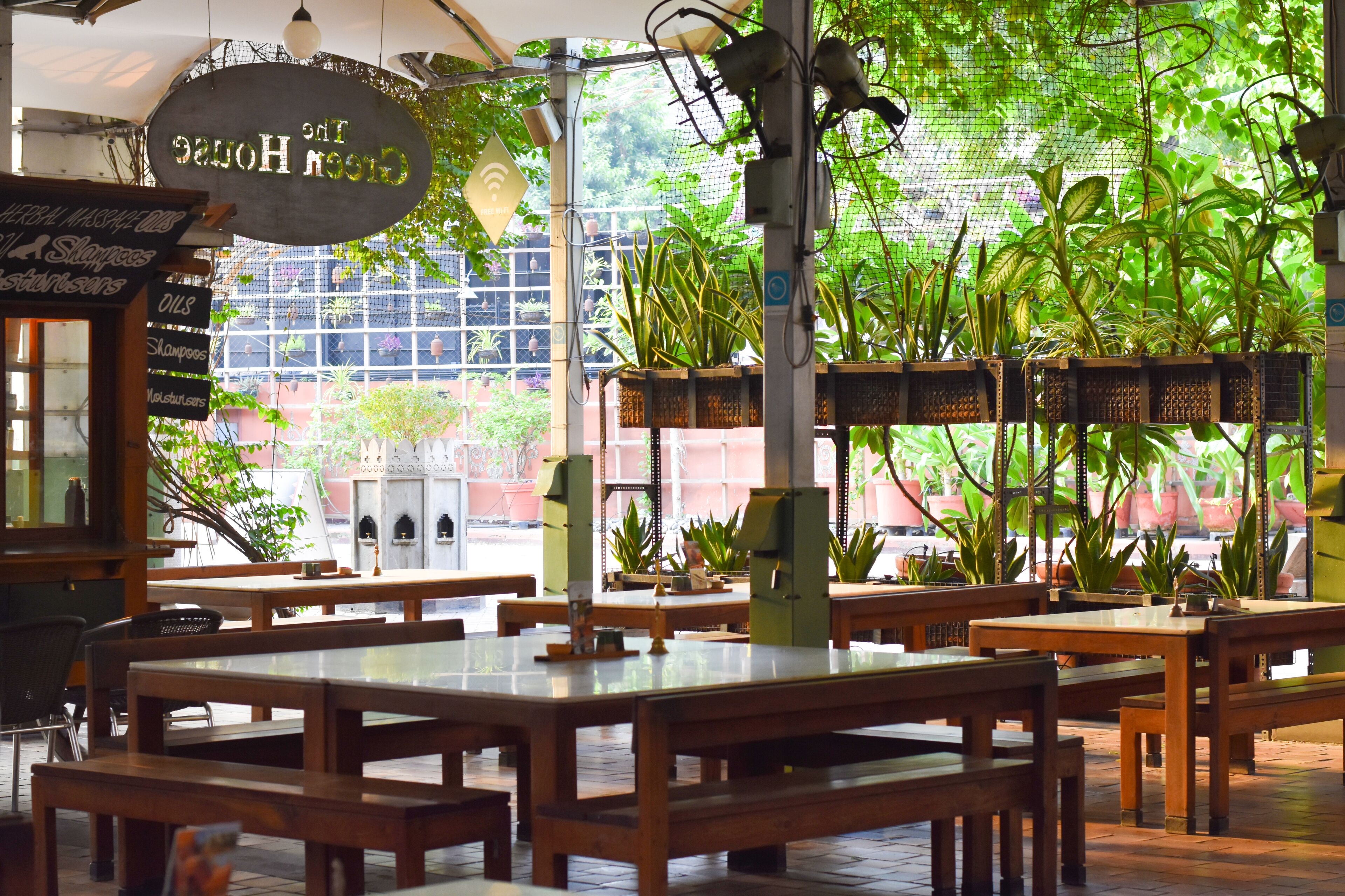 Un café avec des tables et des bancs en bois, entouré de plantes en pot et doté d’une grande fenêtre donnant sur la rue.