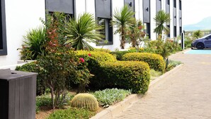 Een modern gebouw met een verharde oprit en een aangelegde tuin met diverse planten en een cactus.