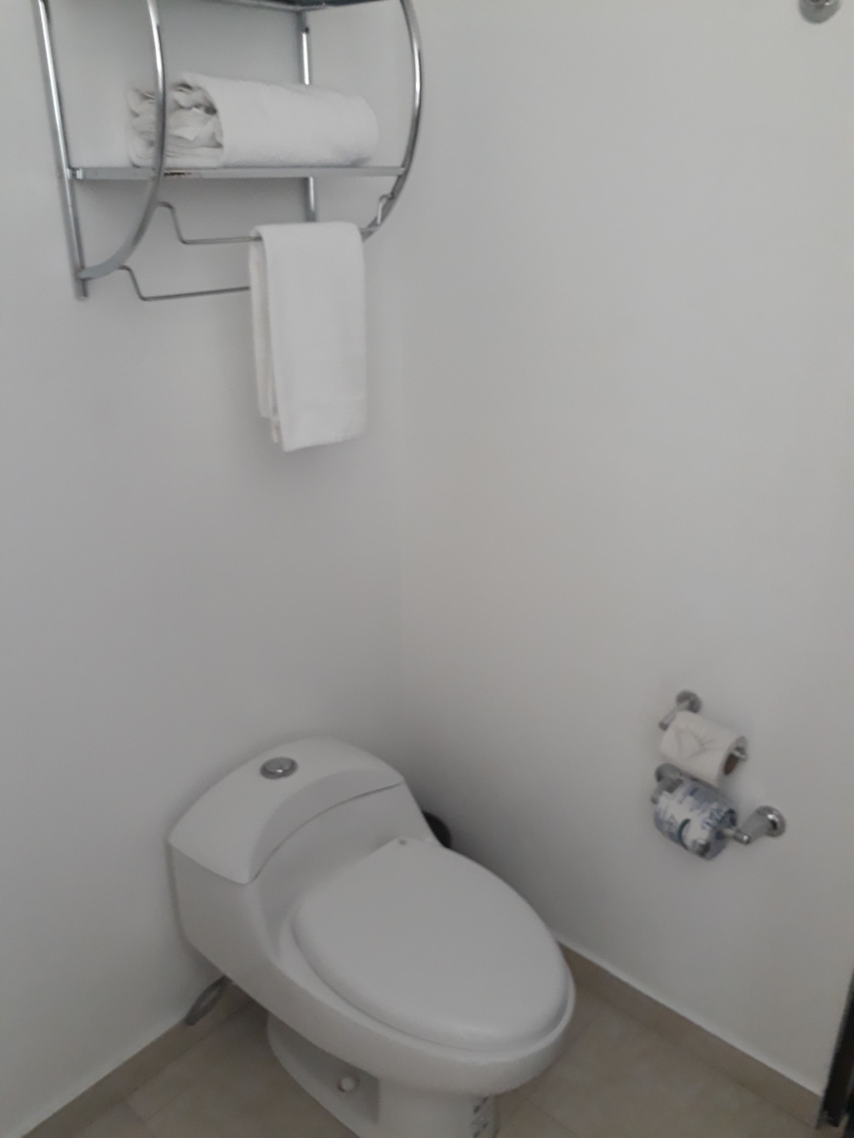 A white toilet with a chrome tank and a white seat, a wall-mounted shelf with a towel, and a toilet paper holder on the wall.