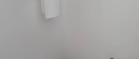 A white toilet with a chrome tank and a white seat, a wall-mounted shelf with a towel, and a toilet paper holder on the wall.