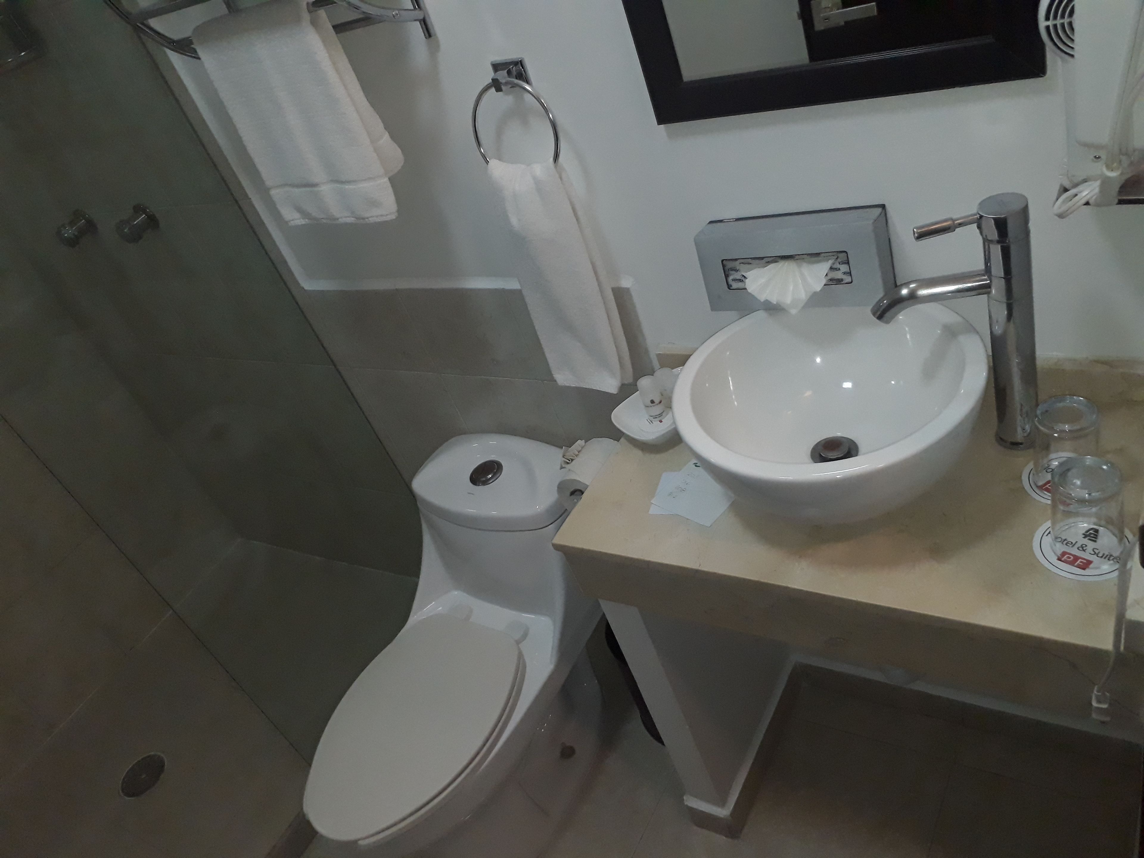 A bathroom with a toilet, sink, and shower.
