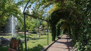 Garden - Parc Hotel Villa Immacolata (Pescara)