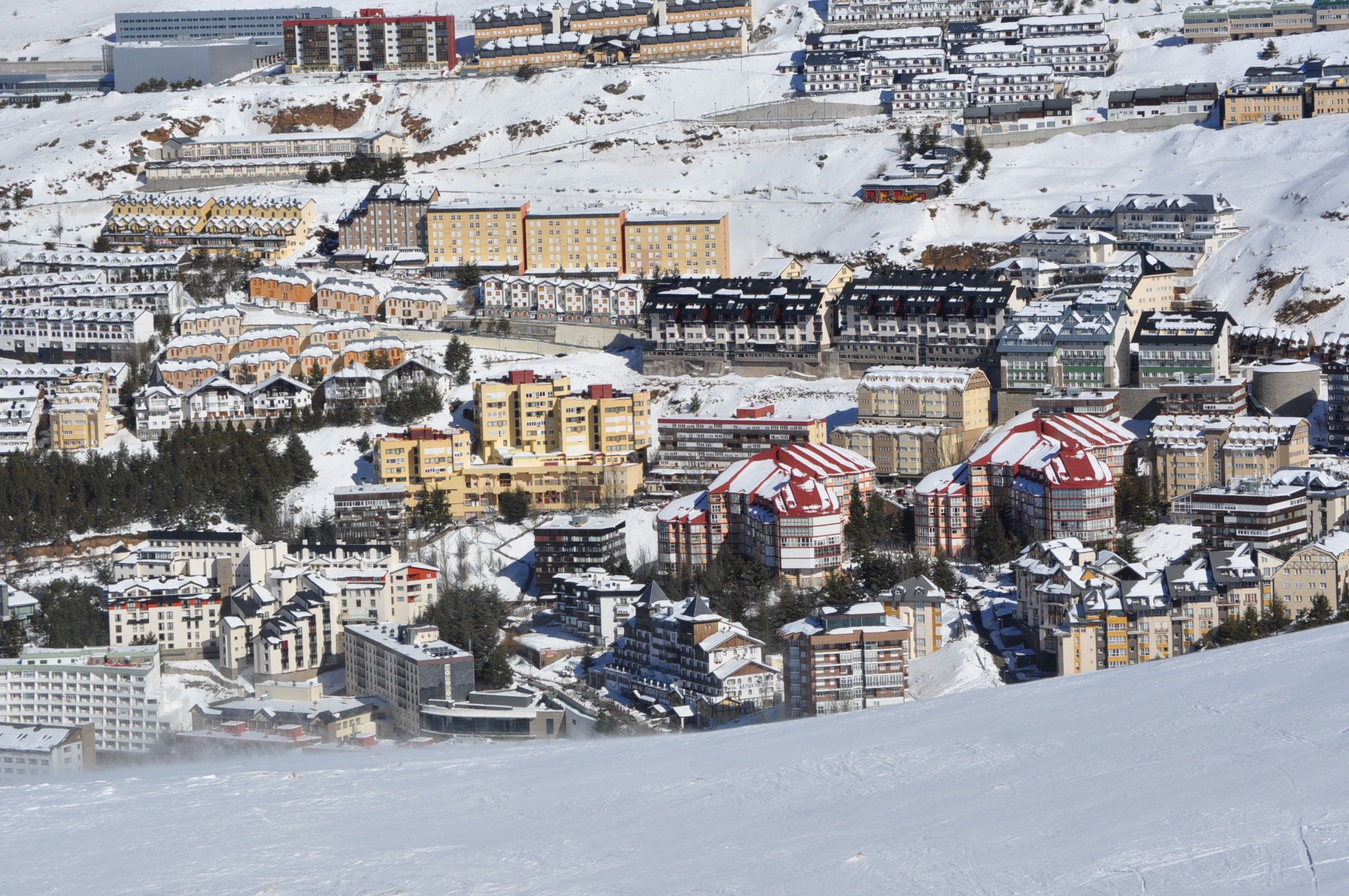 Eksteriør