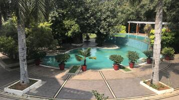 A landscaped area with a swimming pool, surrounded by potted plants and palm trees.