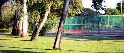 Un parque con árboles, una zona cercada y un sendero.