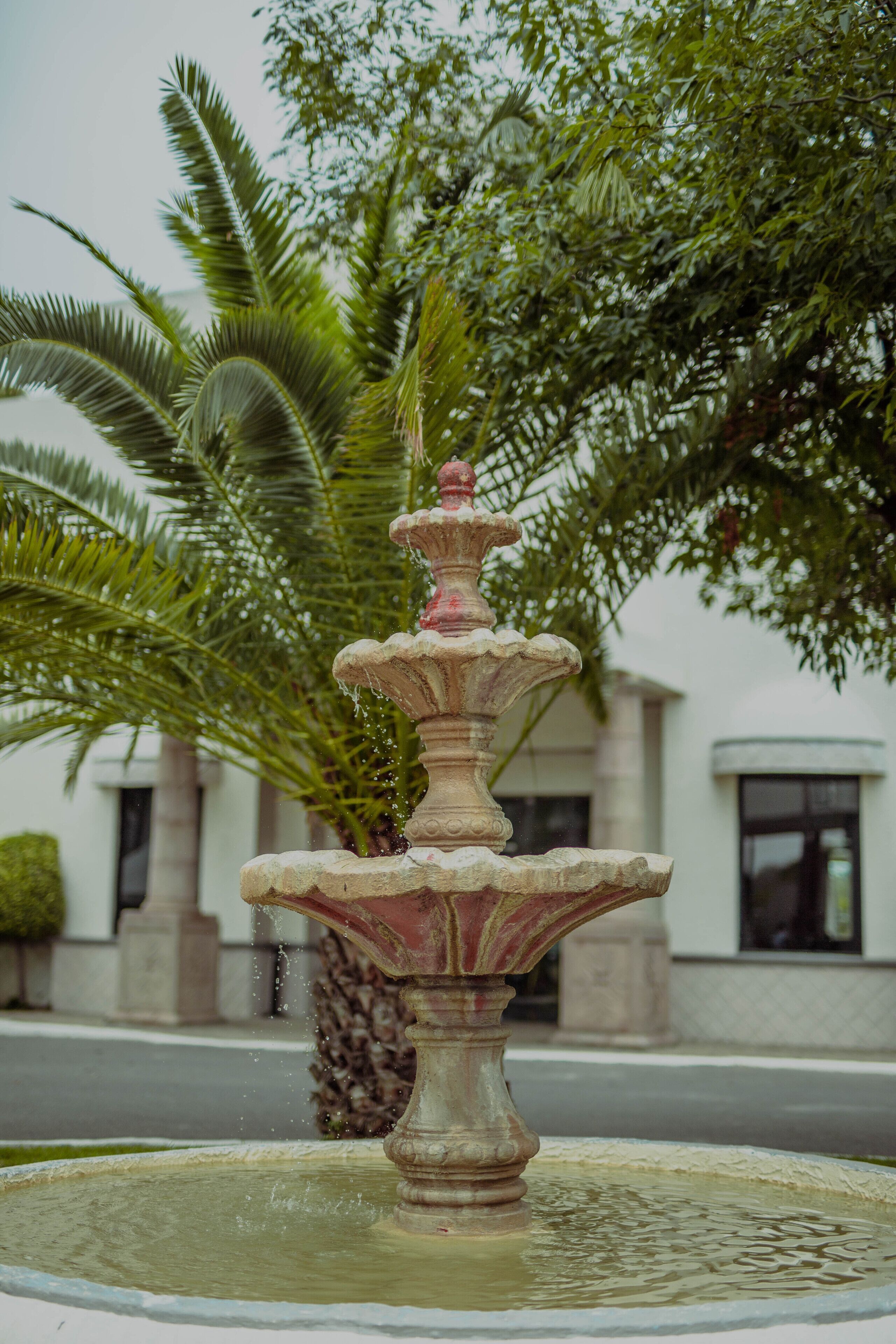 Una fuente de varios niveles con agua corriendo, rodeada de abundante vegetación y un edificio al fondo.