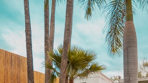 A modern building with vertical wooden panels, palm trees, and a red pathway. - Gran Hotel Las Fuentes (Ciudad Victoria)