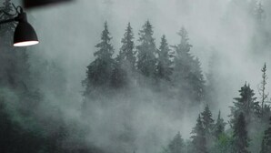 A bedroom with a bed, a nightstand, and a wall mural of a forest scene. - Hotel Nickisch (Schuettorf)