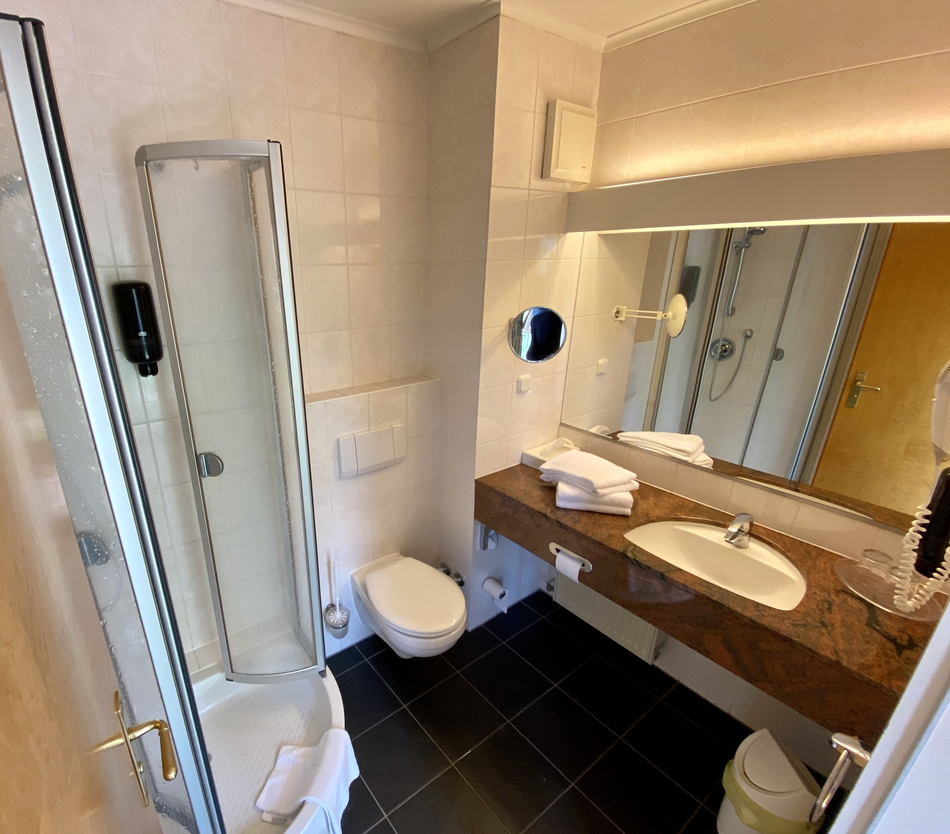 A bathroom with a glass shower enclosure, a toilet, a sink with a mirror, and a towel rack.