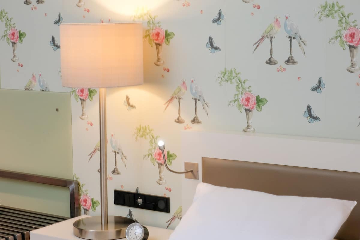 Standaard eenpersoonskamer, 1 slaapkamer | Een minibar, een kluis op de kamer, een bureau, geluiddichte muren