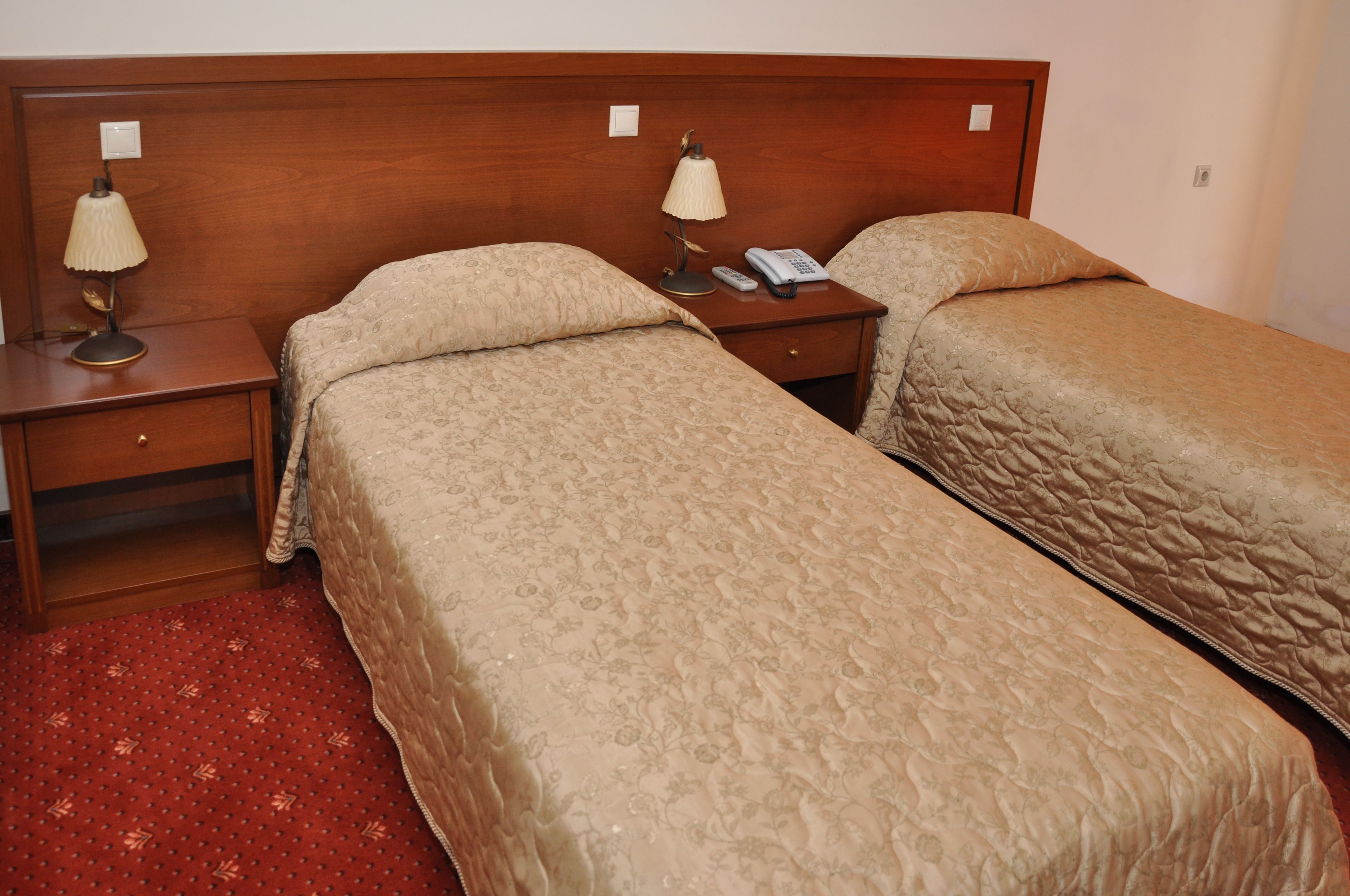 A hotel room with two single beds, each with a wooden headboard, a nightstand with a lamp, and a telephone.