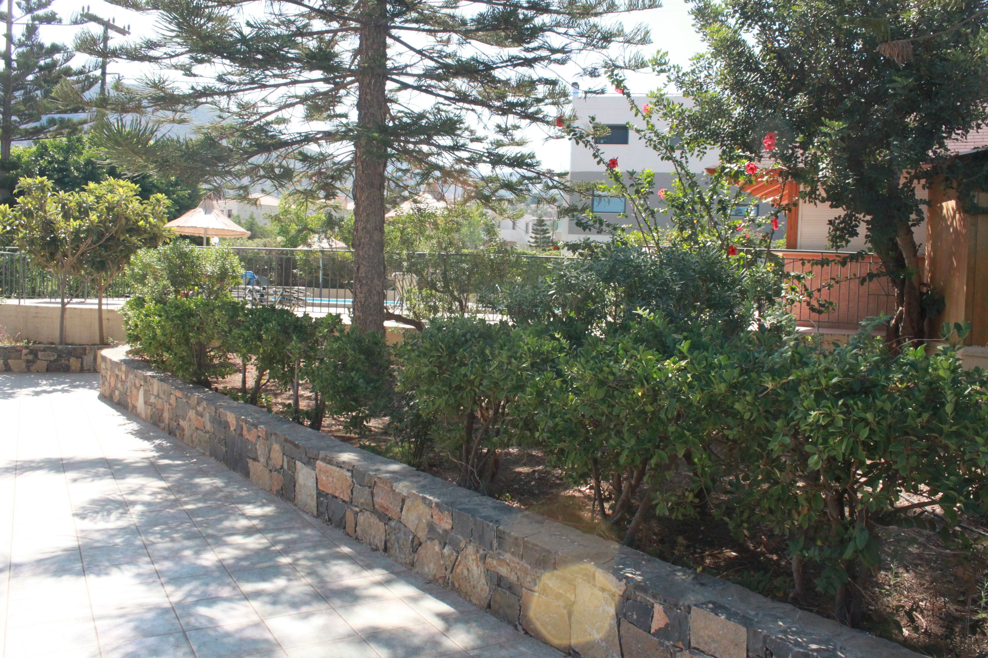 A stone pathway leading to a building with a pool, surrounded by greenery and trees.