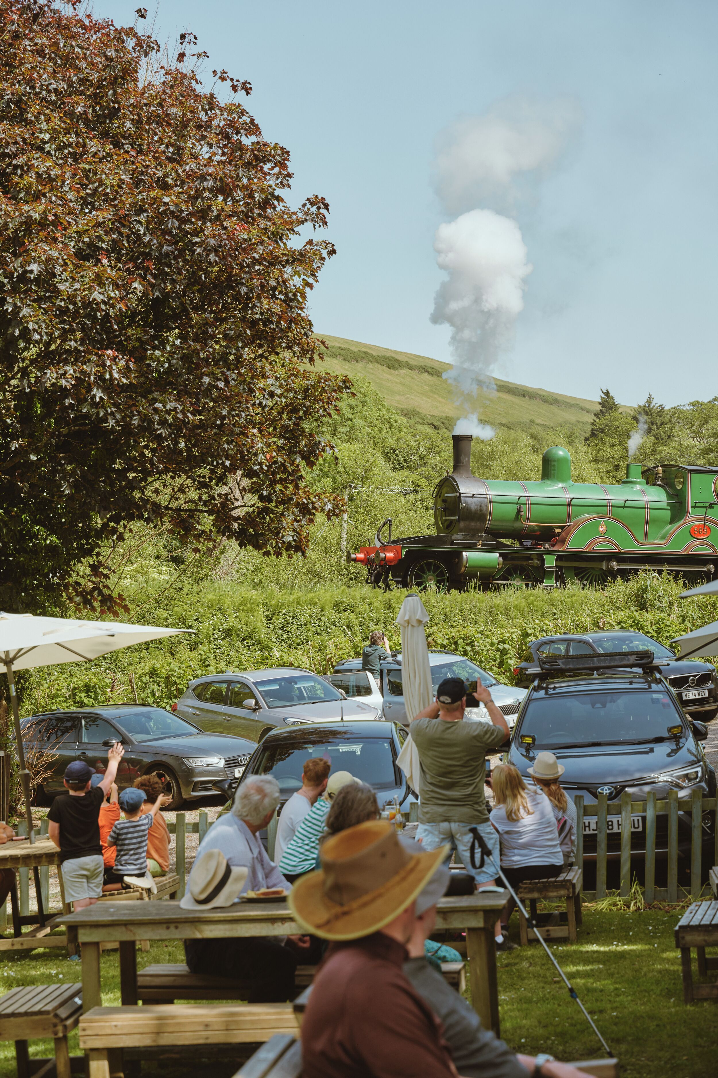 A green steam train with smoke, parked on a grassy hill.